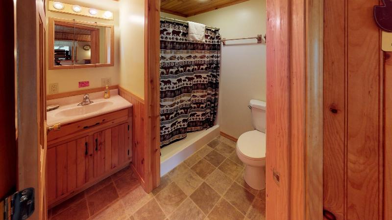Rough Cut Lodge image