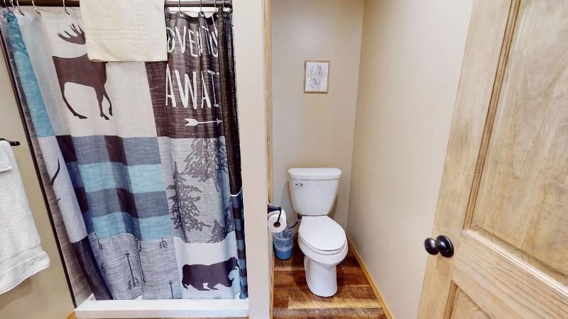 Rough Cut Lodge image