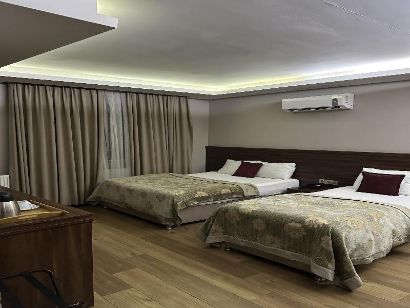 Grand Deluxe Hotel Samsun image
