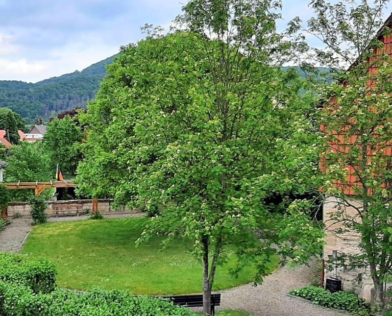 Landhotel Gemeindeschv Nke image