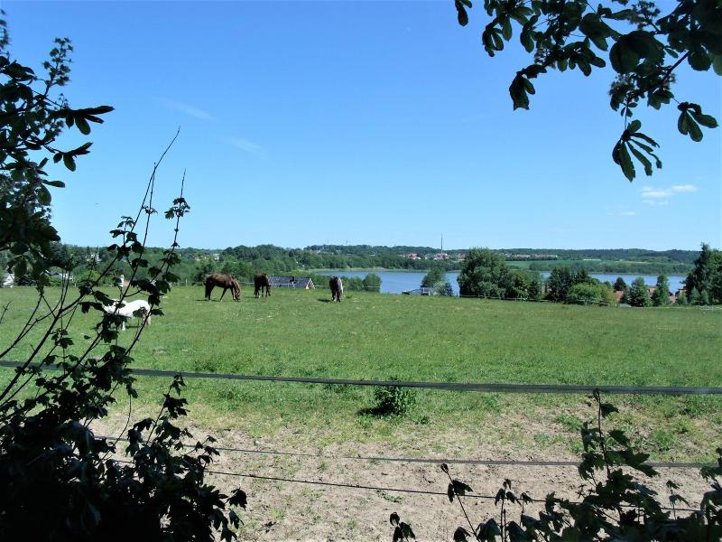 Hotel Bergmv Hle image