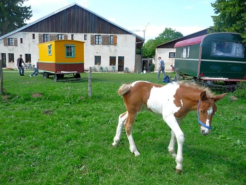 Auberge Le Sillet image