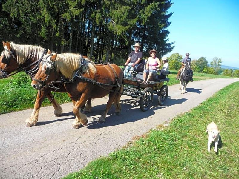 Auberge Le Sillet image