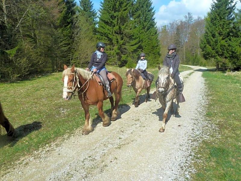 Auberge Le Sillet image