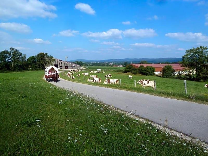 Auberge Le Sillet image