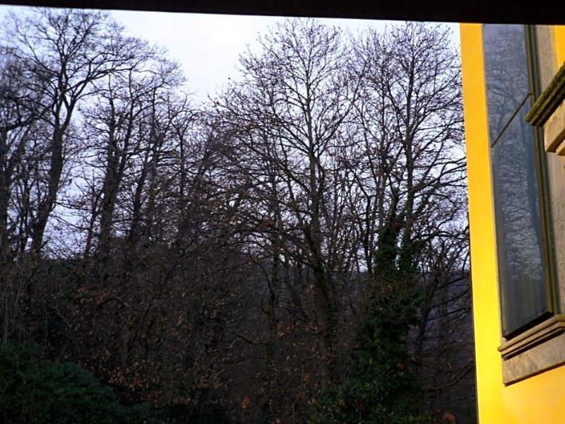 Benito Al Bosco image
