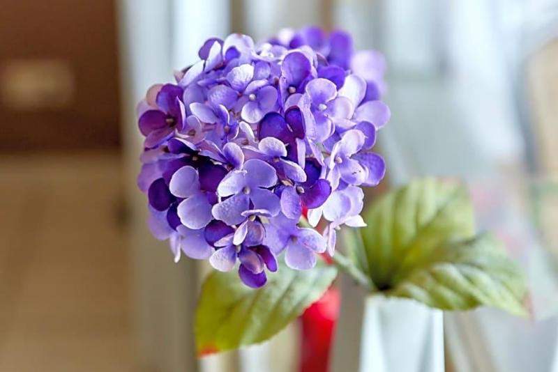 Cafe Rosi image