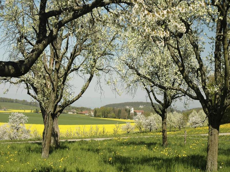 Klosterhotel Kreuz image