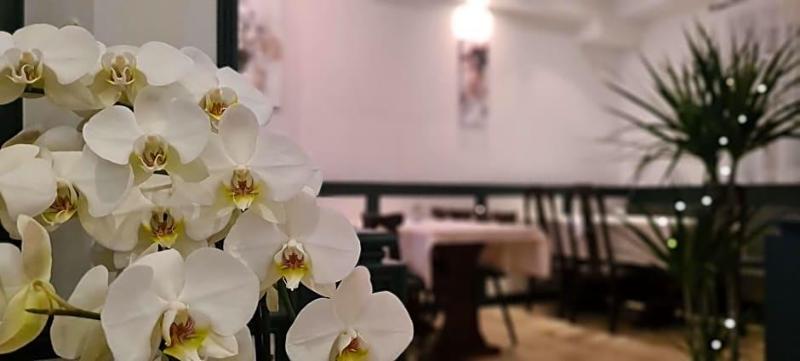 Hotel Lamm image