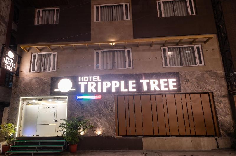 Hotel Tripple Tree image