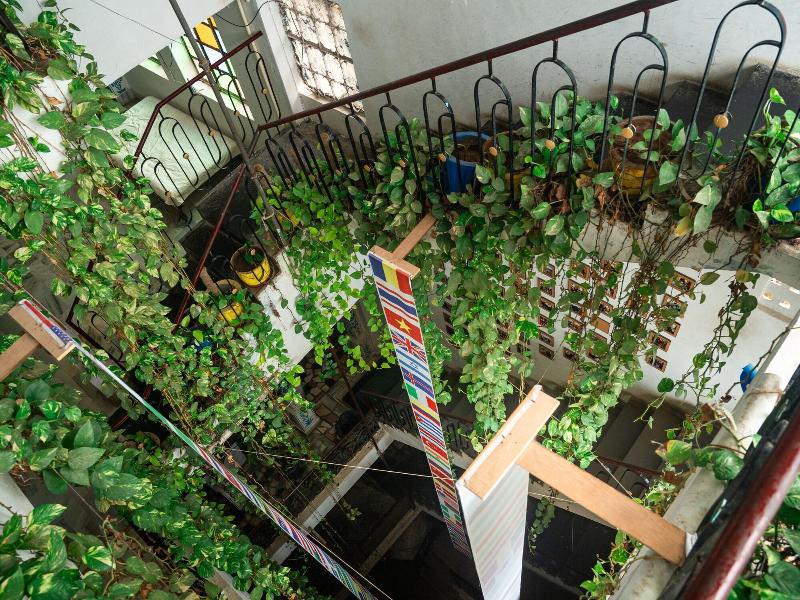 Dreamyard Udaipur Hostel image