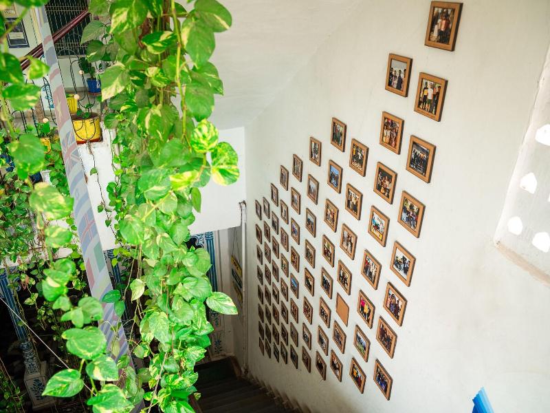 Dreamyard Udaipur Hostel image