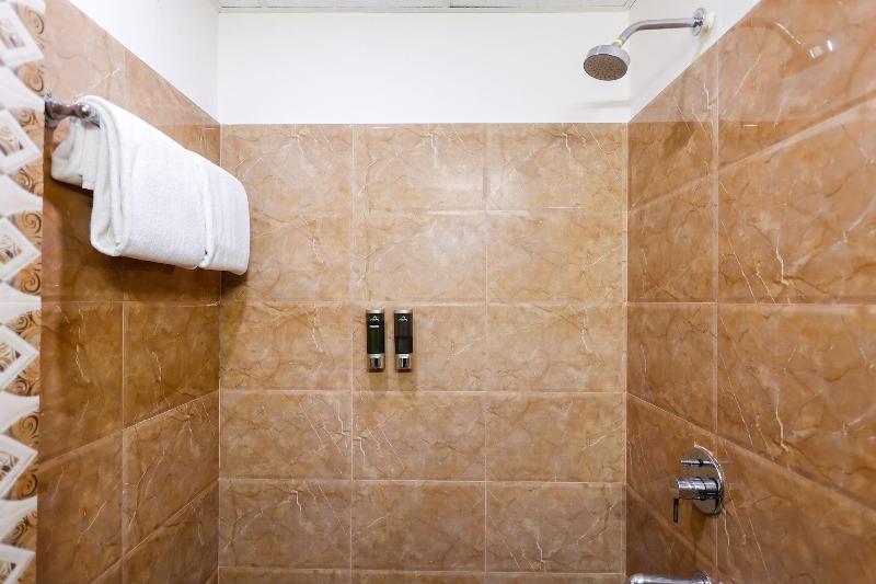 Hotel Dolphin International image