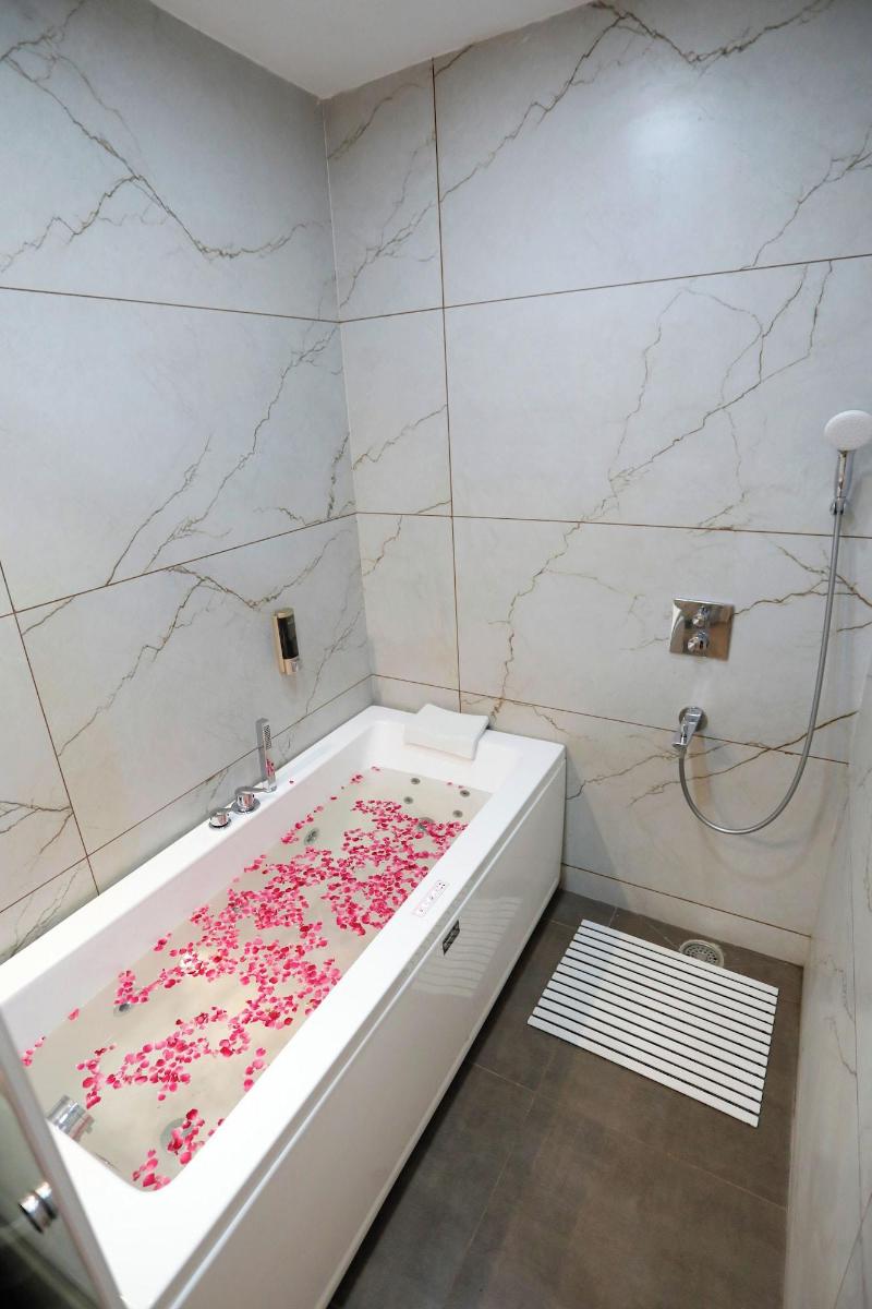 Hotel Dolphin International image