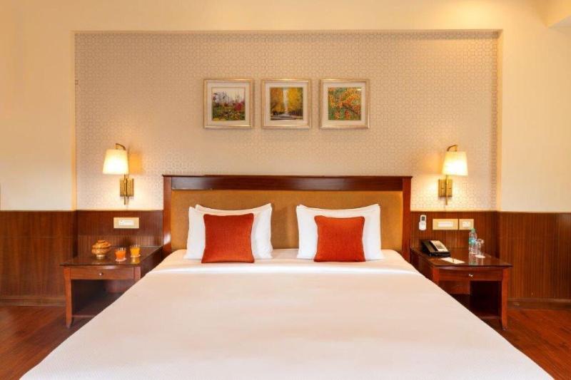 Hotel Dragon Leh image