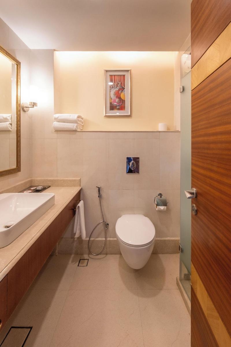Hotel Dragon Leh image