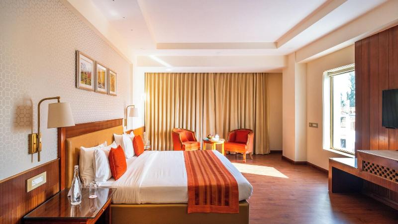 Hotel Dragon Leh image