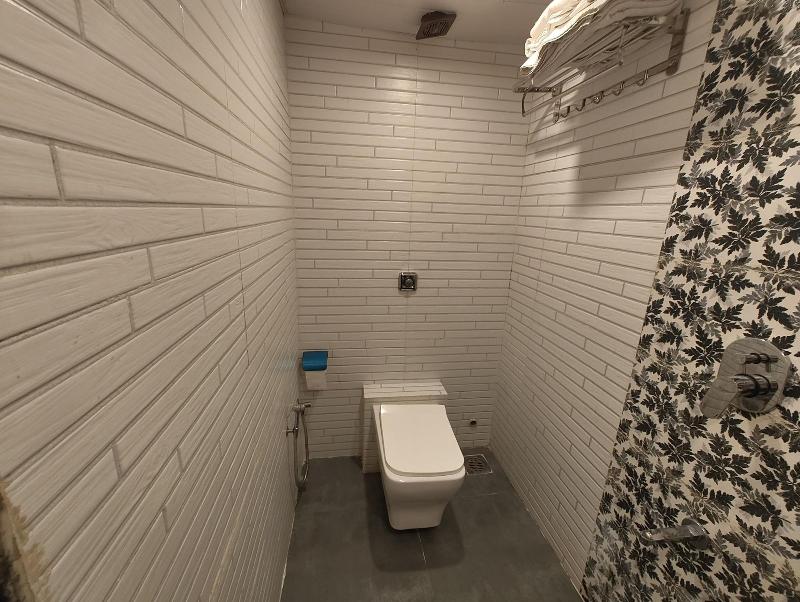Hotel Dream Palace Residency image