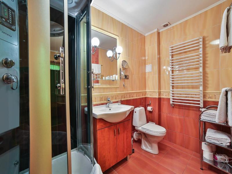 Hotel Wiosna image