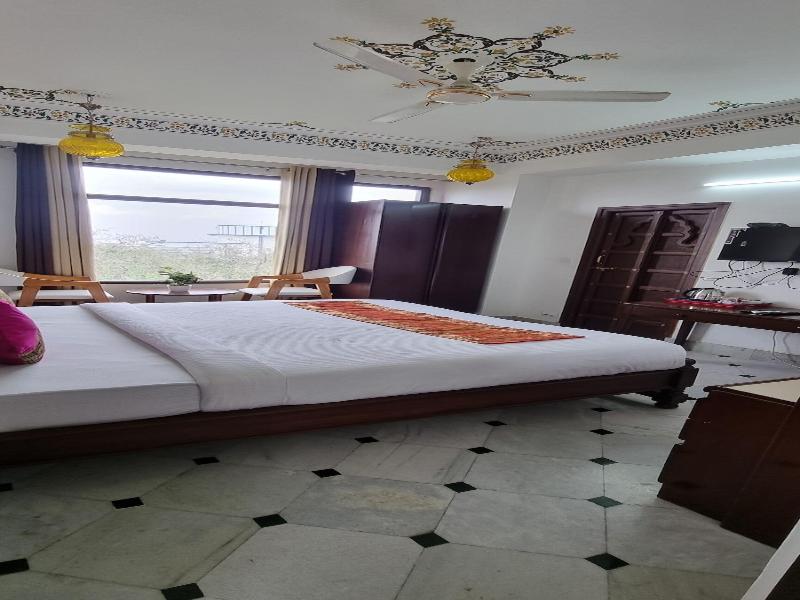 Hotel Darbargarh Udaipur image