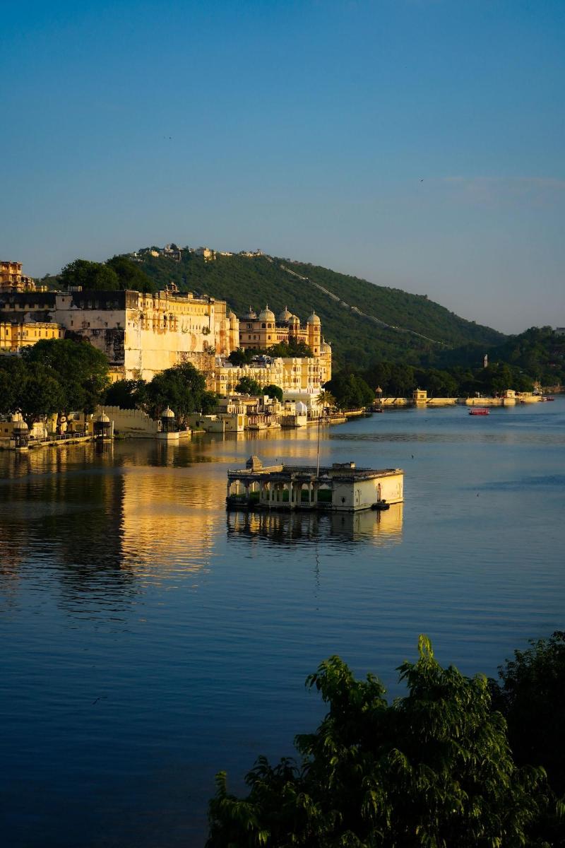 Jungle By Sturmfrei Udaipur image