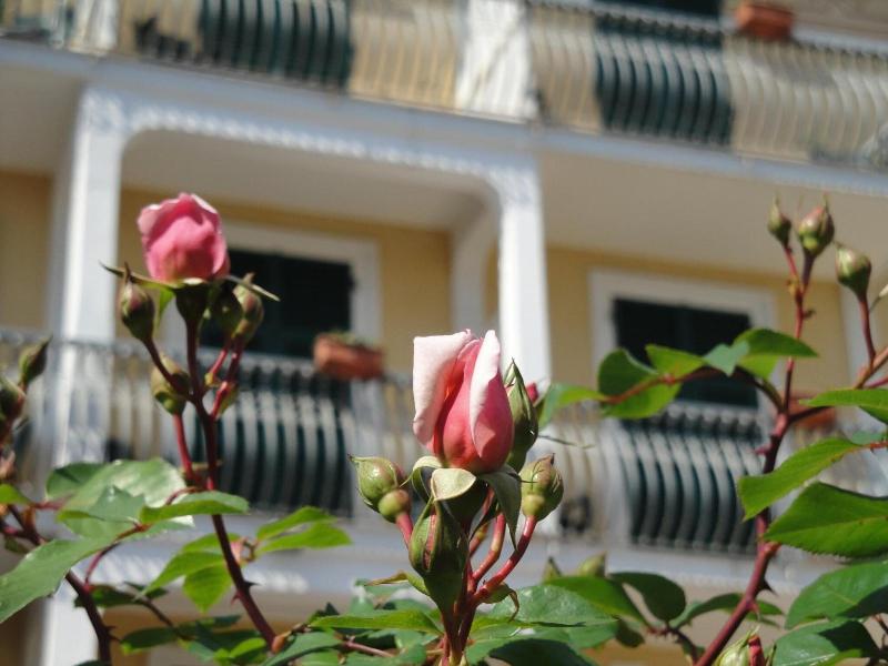 Hotel Miranda image