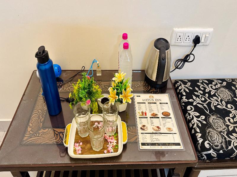 Hotel Lotus Inn near Udaipur City Railway Station image