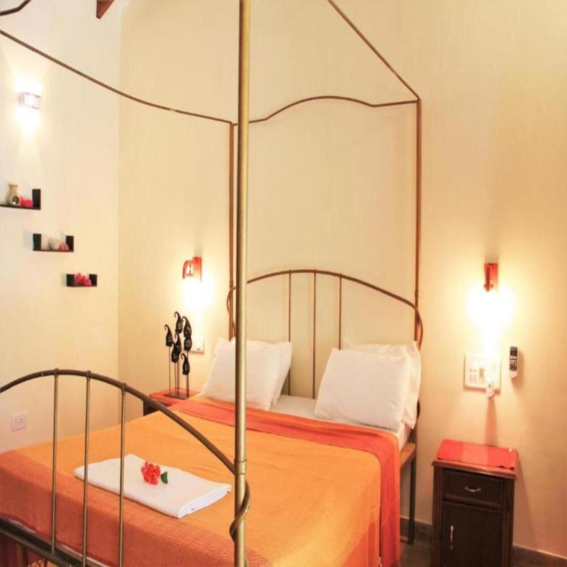 Papa Jolly Eco Resort Near Morjim Beach image