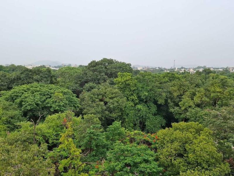 Palace View Hotel image