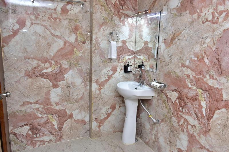 Hotel Jsr Ganga image
