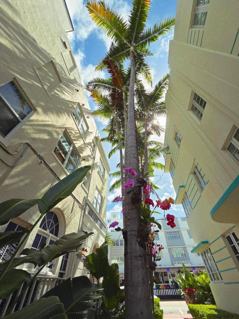 Luxuri Suites image
