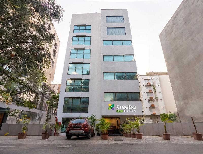 Treebo Blossom Viman Nagar image