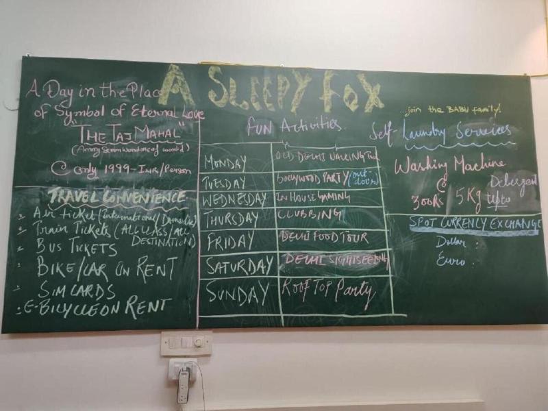 A Sleepy Fox Hostel image
