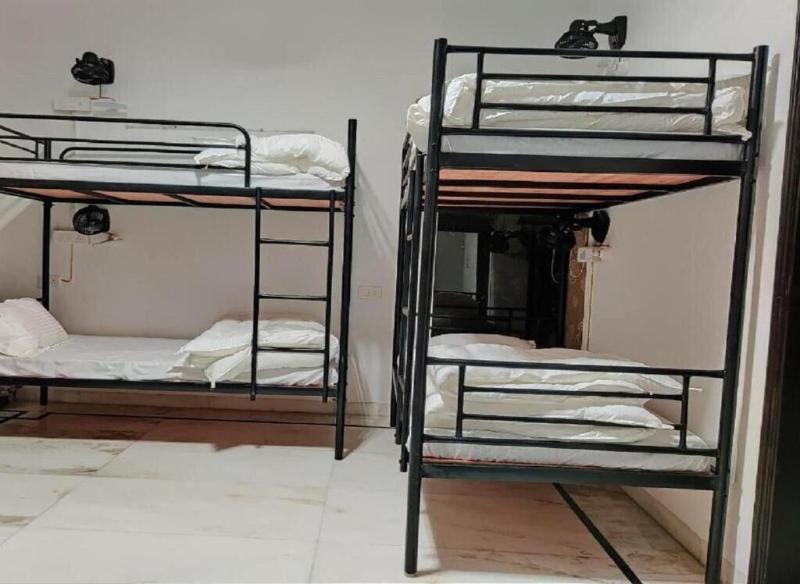 A Sleepy Fox Hostel image