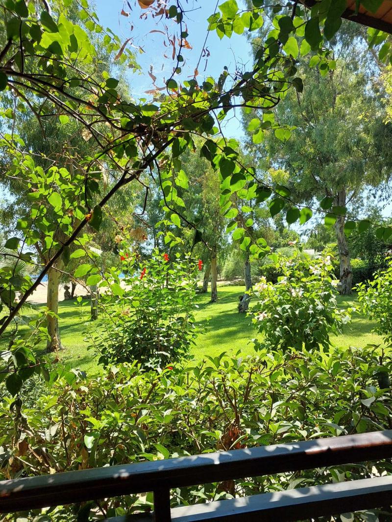 Dirik Surf Beach Club Hotel image