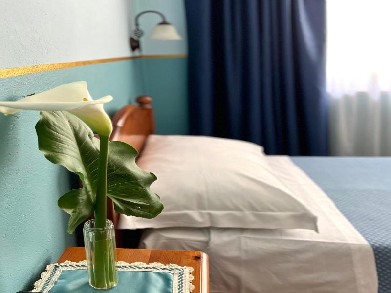 Hotel Napoleon image