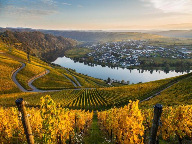 Hotel Weingut Moselloreley image