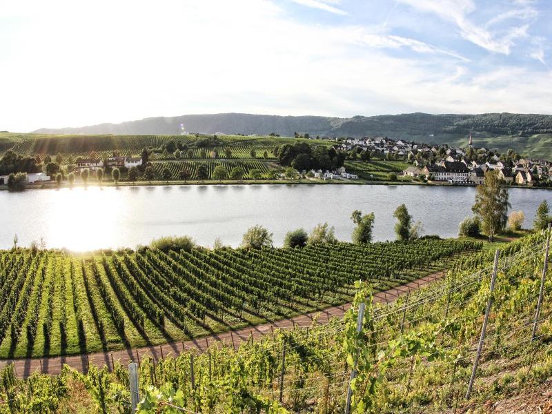 Hotel Weingut Moselloreley image