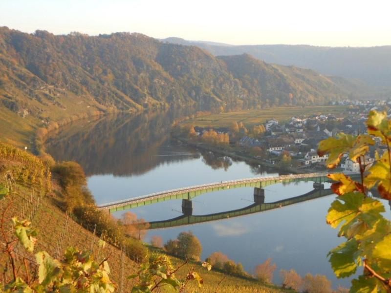 Hotel Weingut Moselloreley image