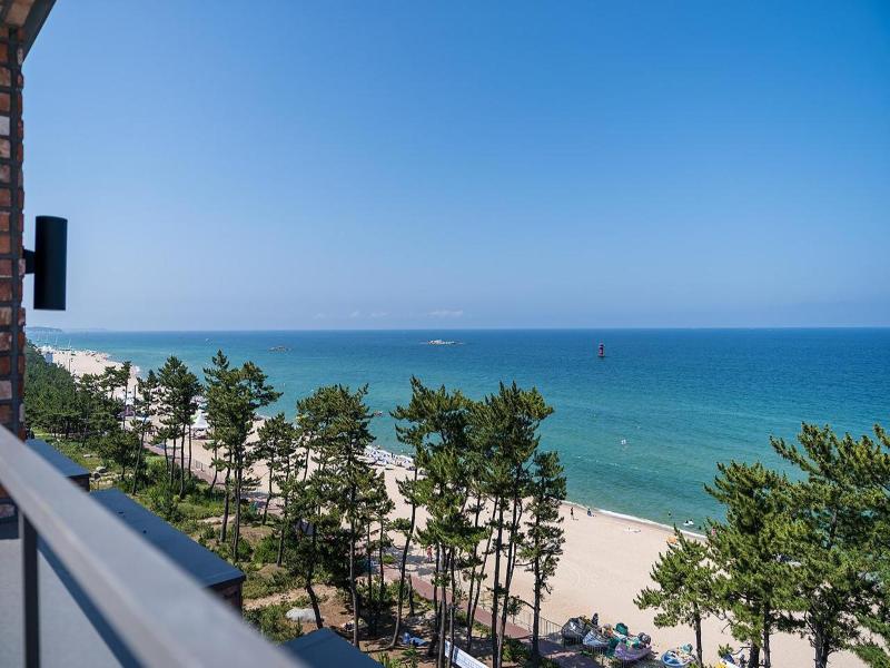 Brown Dot Gangneung Gyeongpo — photo 22