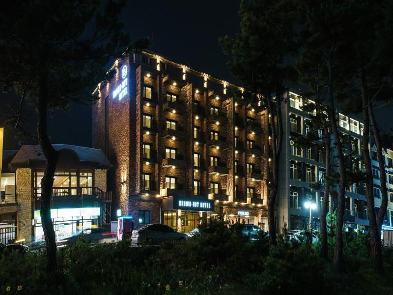 Brown Dot Gangneung Gyeongpo — photo 13