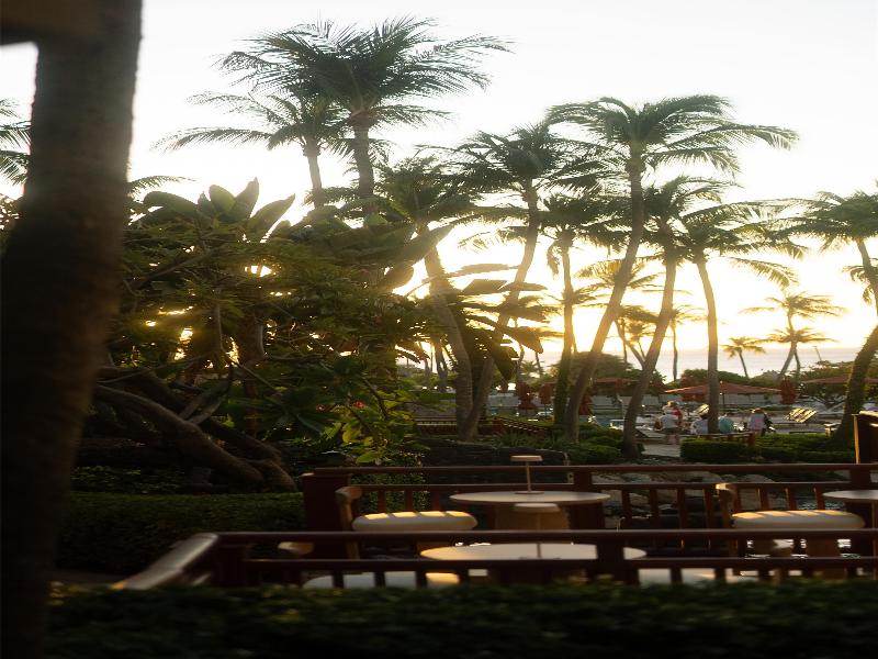 Hyatt Regency Aruba Resort Spa & Casino image