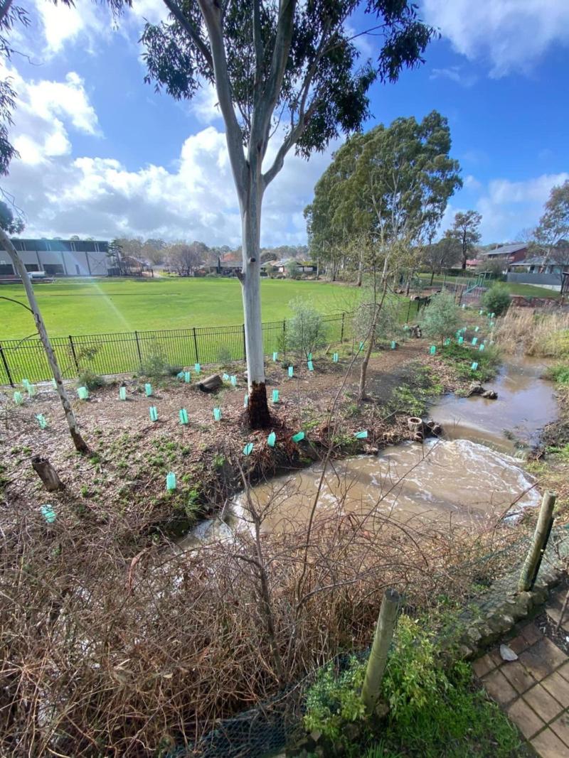 Hahndorf Motel image