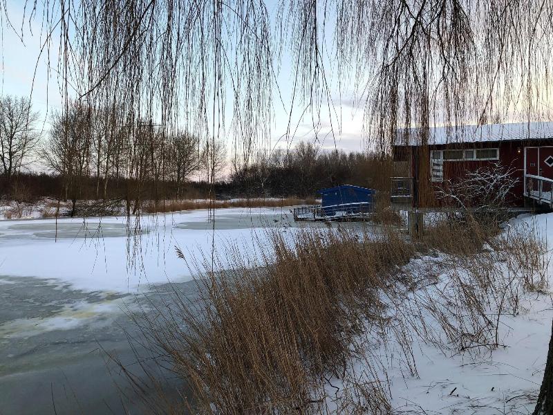 Hajv Restaurant De Aalscholver image