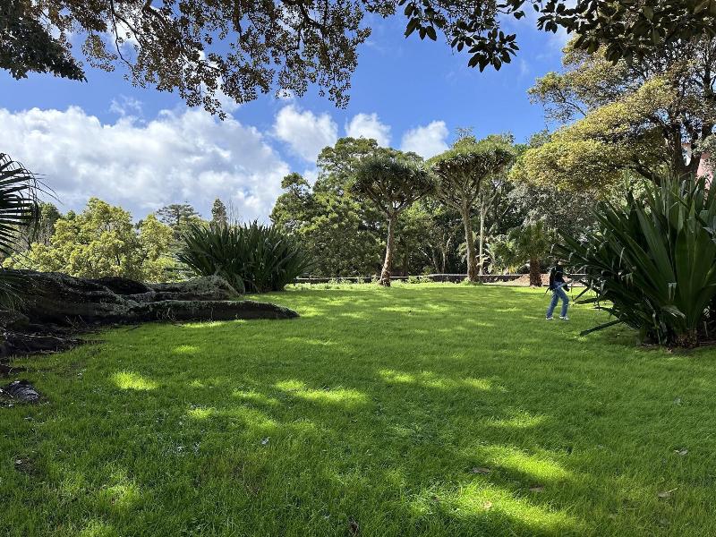 Solar Dos Cantos Botanic House And Garden image