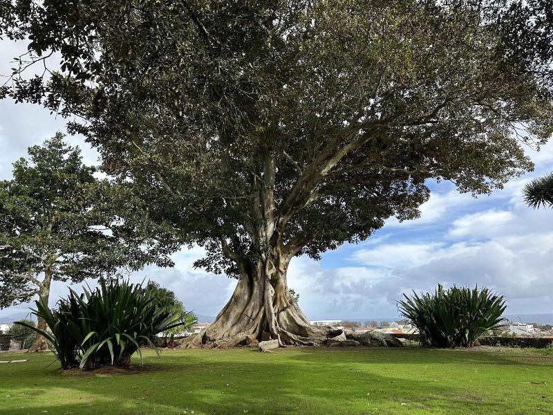 Solar Dos Cantos Botanic House And Garden image