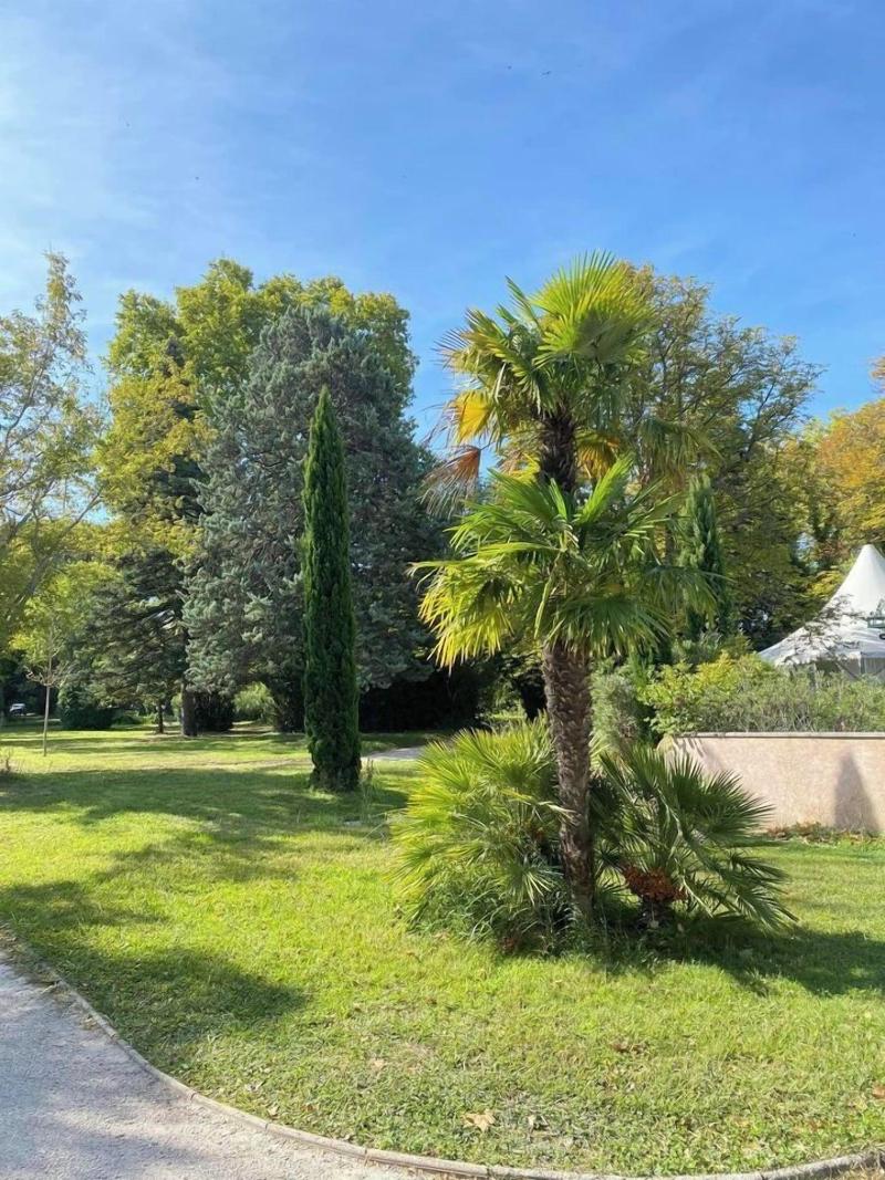 Domaine De La Nerthe image