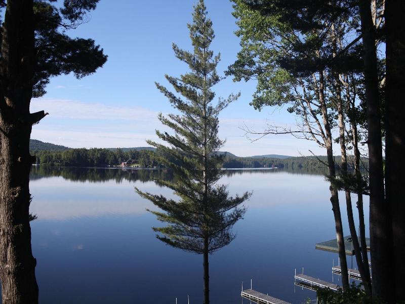 Great Pines