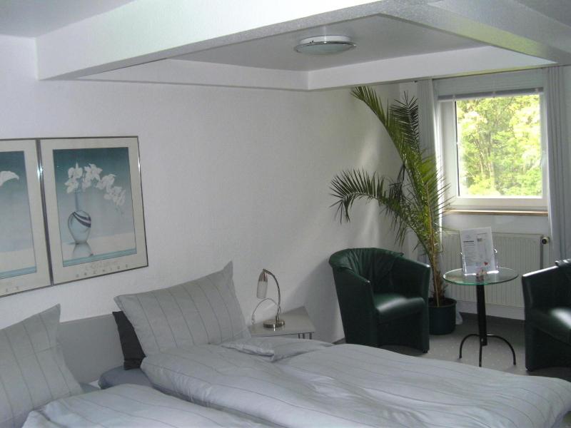 Hotel Ambiente image