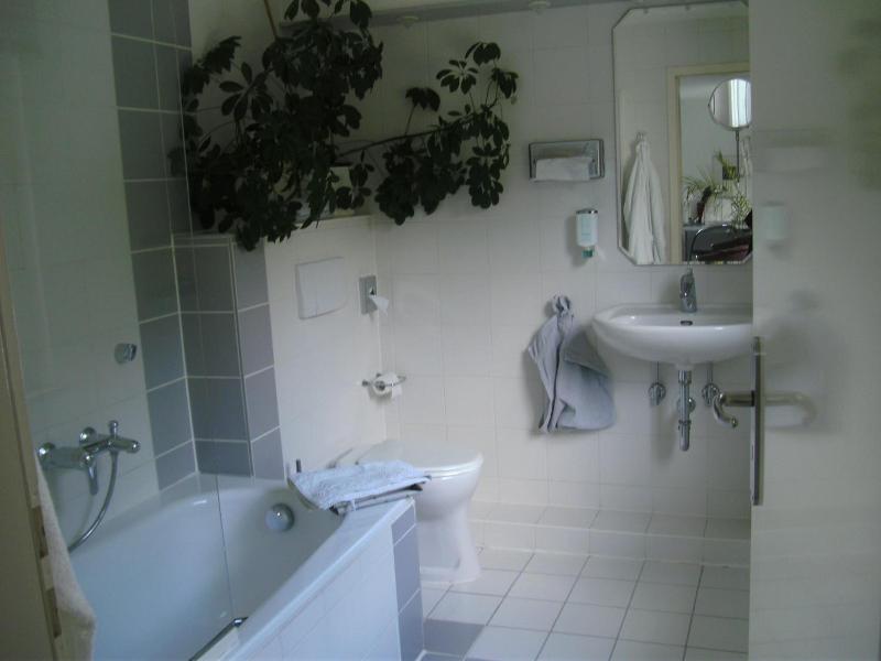 Hotel Ambiente image